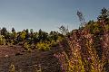 2015_08_02 (0069)